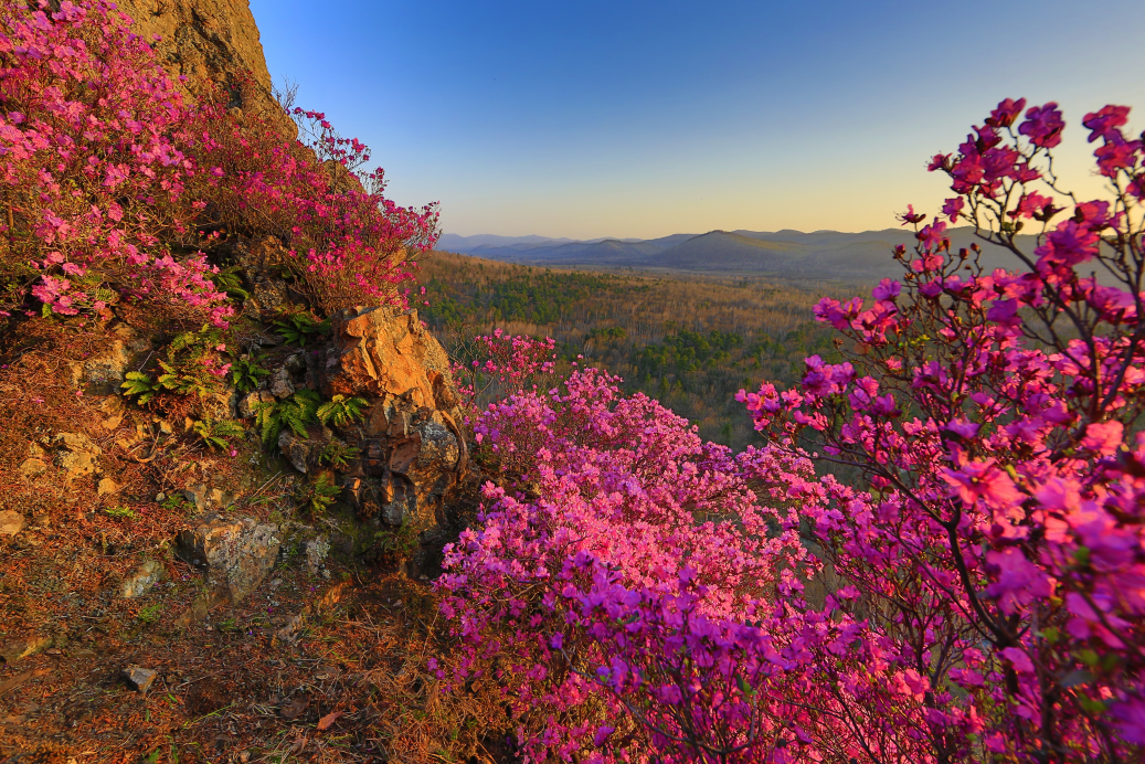 黑龙江双鸭山：大顶子山风景美如画