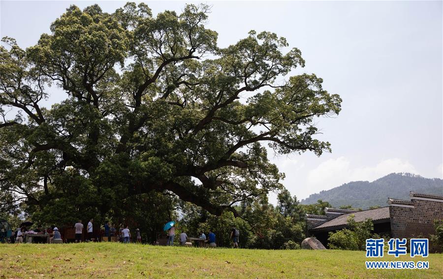 江西安义：千年古村焕发新生机