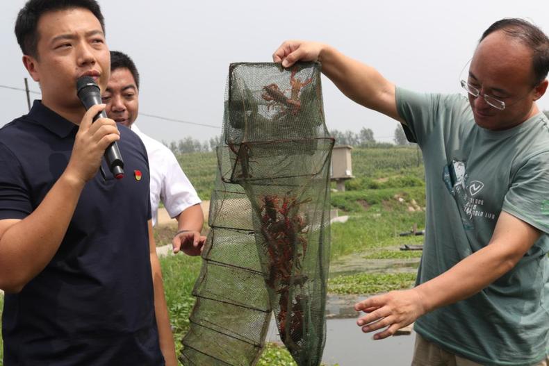 为村集体经济“造血” 辽宁法库“第一书记”各出奇招