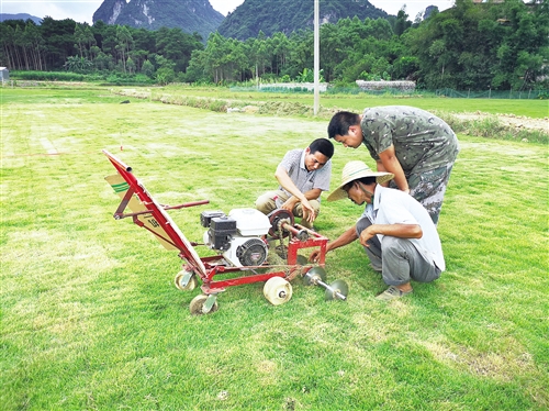 【点赞南宁人】种下萋萋芳草 造福贫困村民