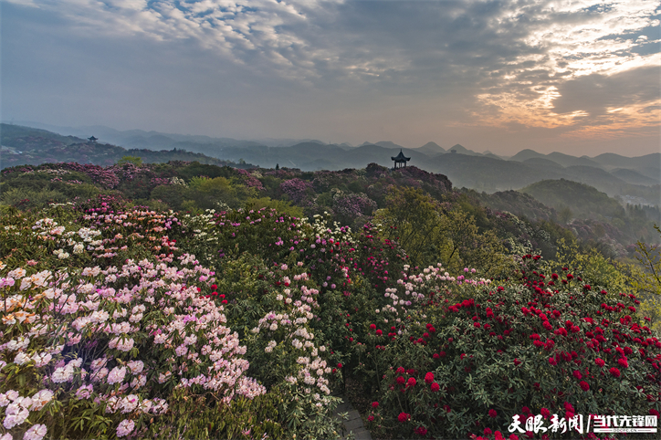 贵州：研学旅行拓宽旅游发展空间