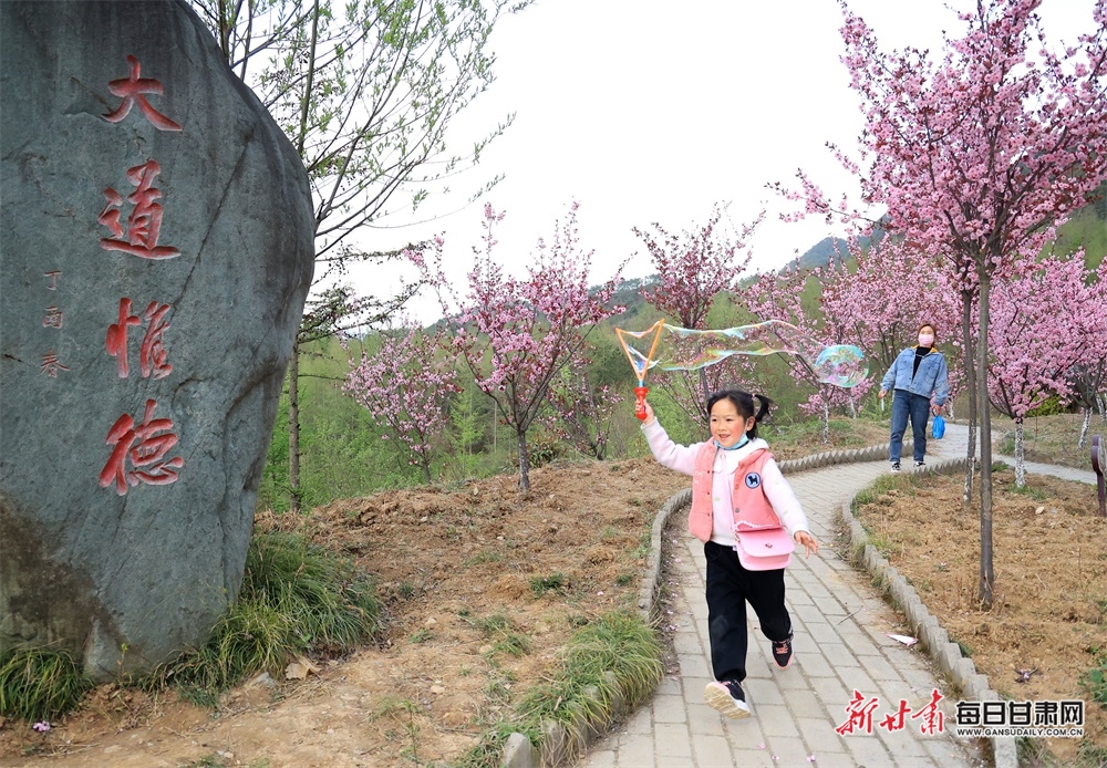 【移动端+县域图片列表】康县：十里梅花朵朵开 千树万枝浮暗香