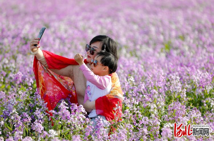 河北衡水：出游踏青享春光