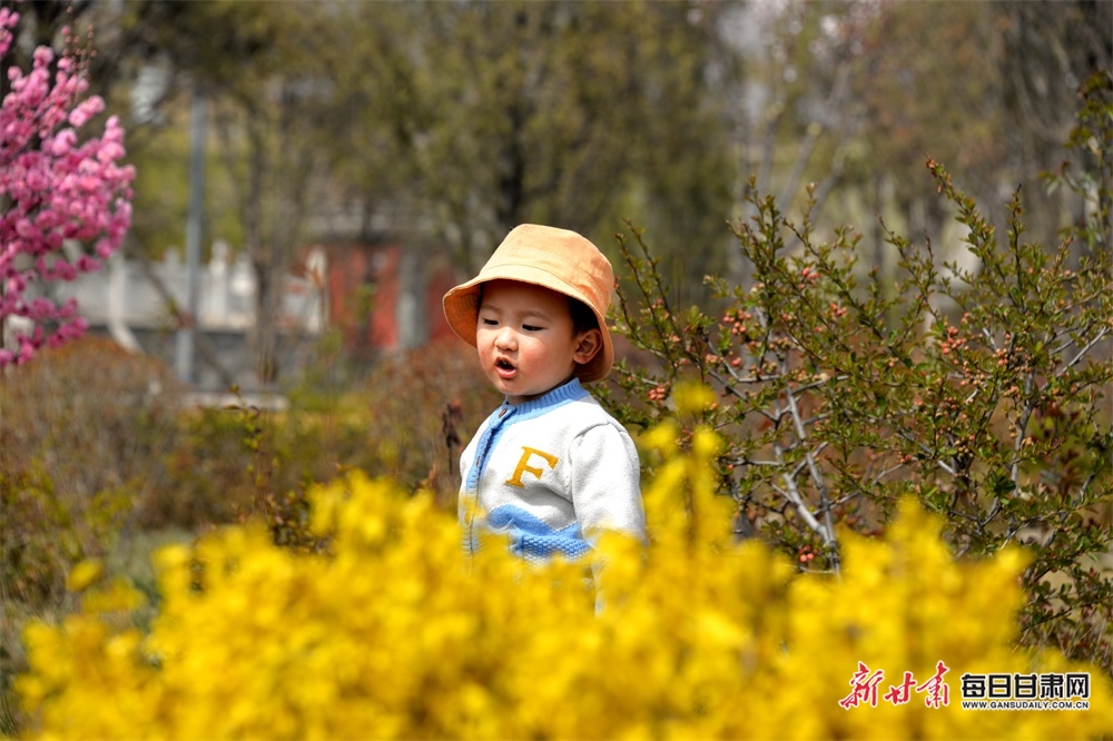 陇西李家龙宫：花香扑鼻迎风来 春色满园惹人醉