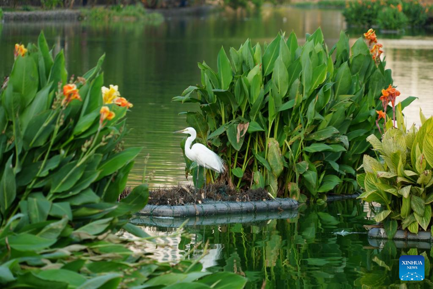 View of Beddagana Wetland Park in Sri Lanka_fororder_2