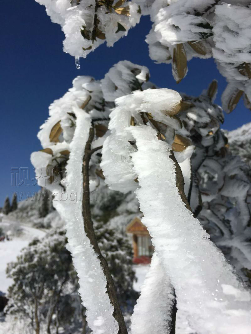 【渝情渝景　图文】雪后阳光照耀 金佛山景色美翻天