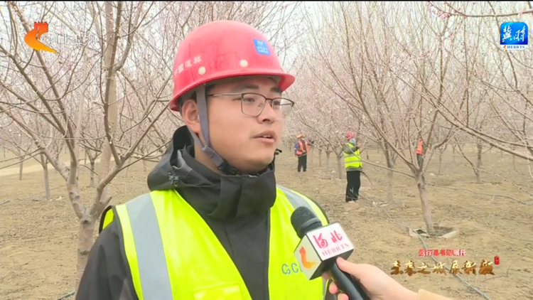 【奋进新征程 建功新时代】践行总书记嘱托 未来之城展新颜——打好“蓝绿底色” 绘就“雄安画卷”