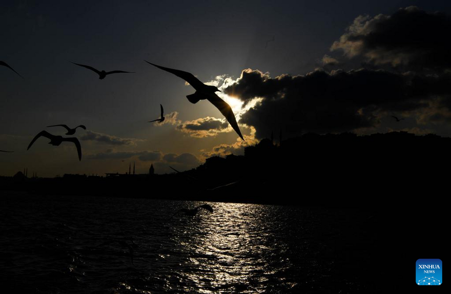 Sunset view in Istanbul, Turkey_fororder_101