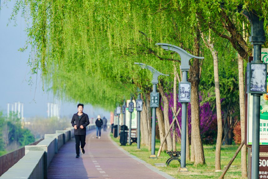 河南汝阳：繁花似锦满眼春