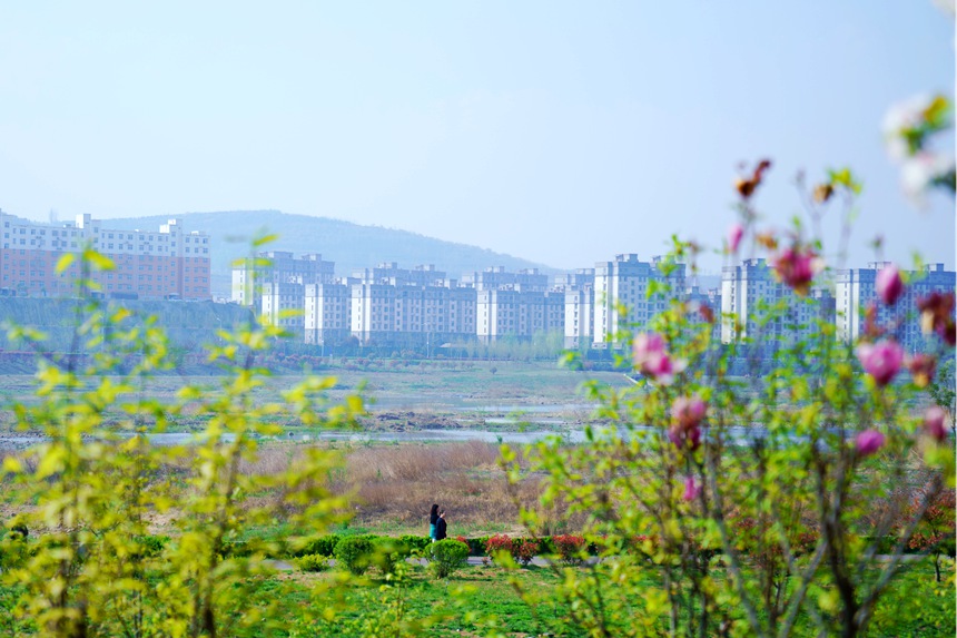 河南汝阳：繁花似锦满眼春