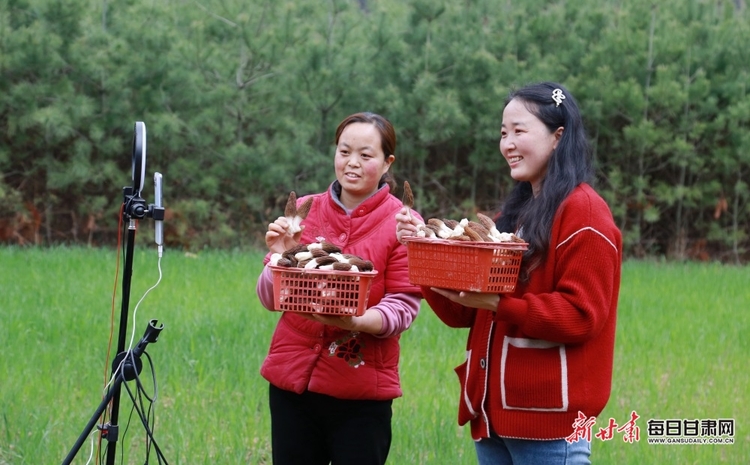 【县域图文列表+陇南列表】徽县麻沿河镇：羊肚菌丰收 线上销售忙