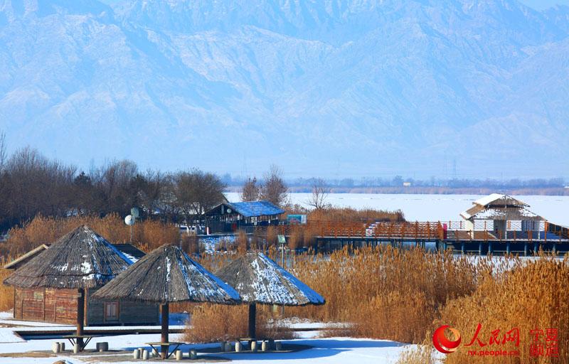 冬韵沙湖雪景美