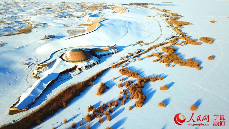 冬韵沙湖雪景美