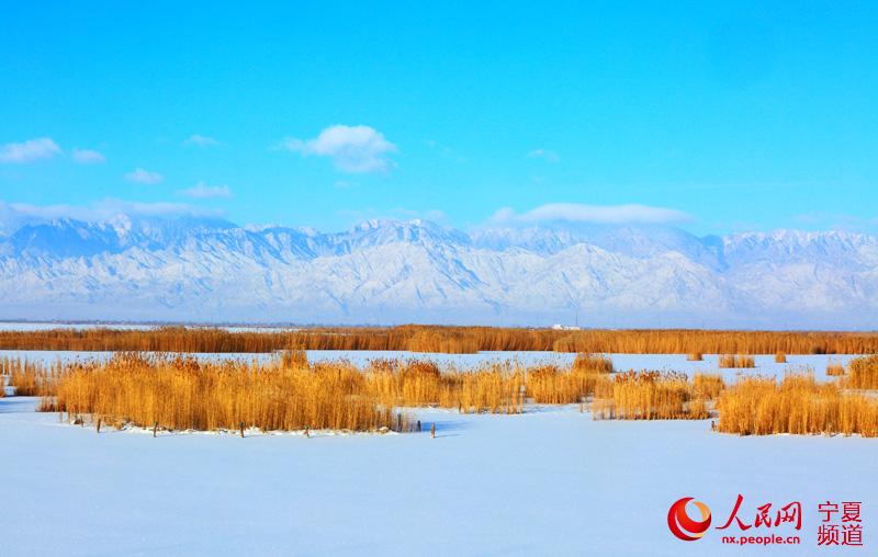 冬韵沙湖雪景美