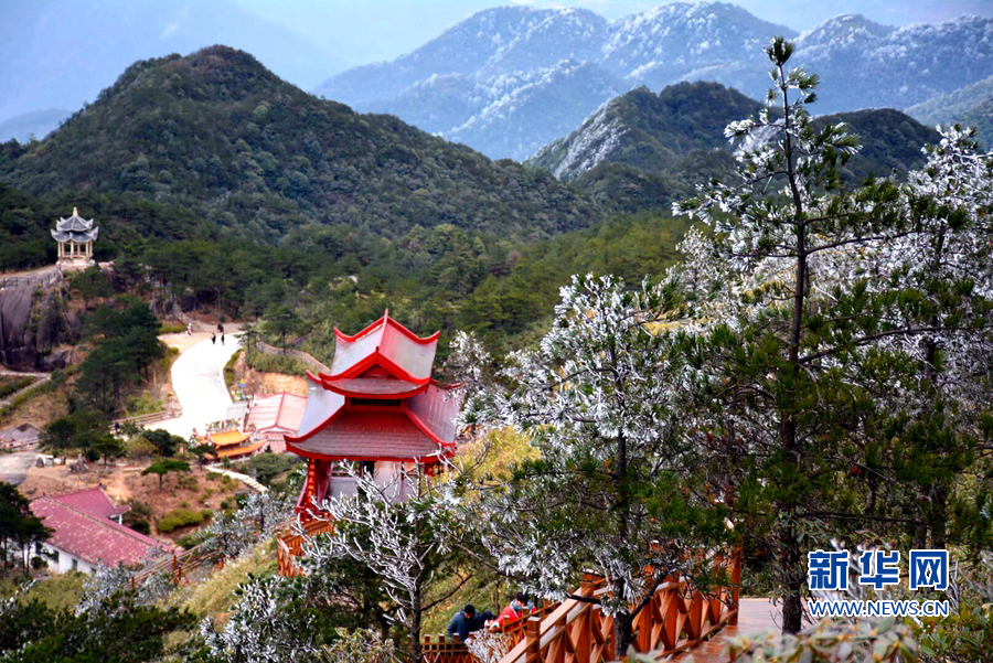 【组图】泉州九仙山上现“雨雾凇”美景