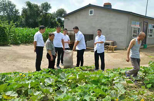 【黑龙江】【供稿】肇东市农村信用合作联社推进产业精准扶贫 激发贫困地区内生动力