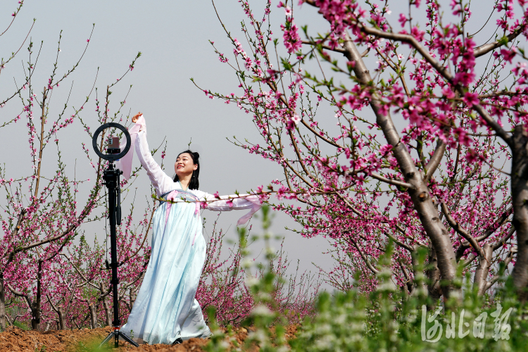 花正开 请你来 陪你在