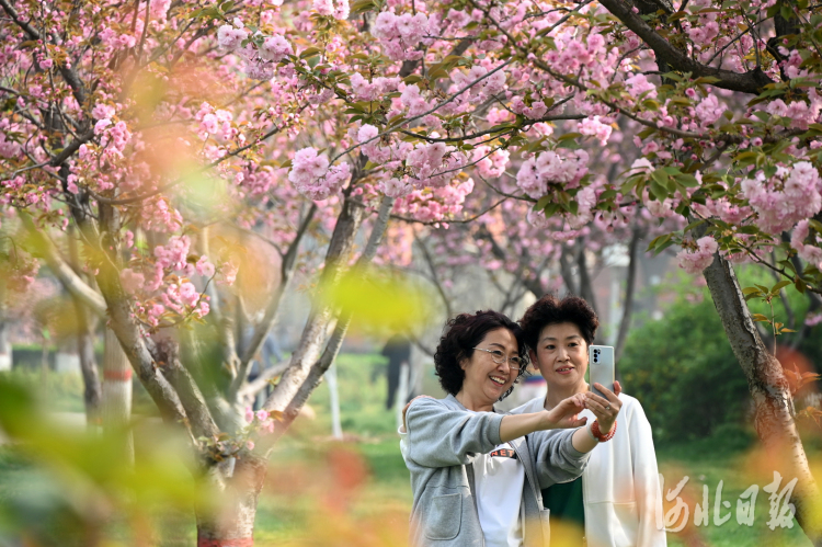 河北石家庄：加快花城建设