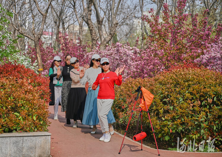 河北石家庄民心步道：赏春游玩好去处