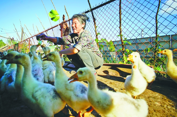 张家老两口眼中的“幸福”