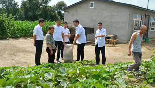 【黑龙江】【供稿】肇东市农村信用合作联社推进产业精准扶贫 激发贫困地区内生动力