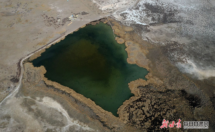 【乡村振兴图文列表】肃南明花乡迎来花季