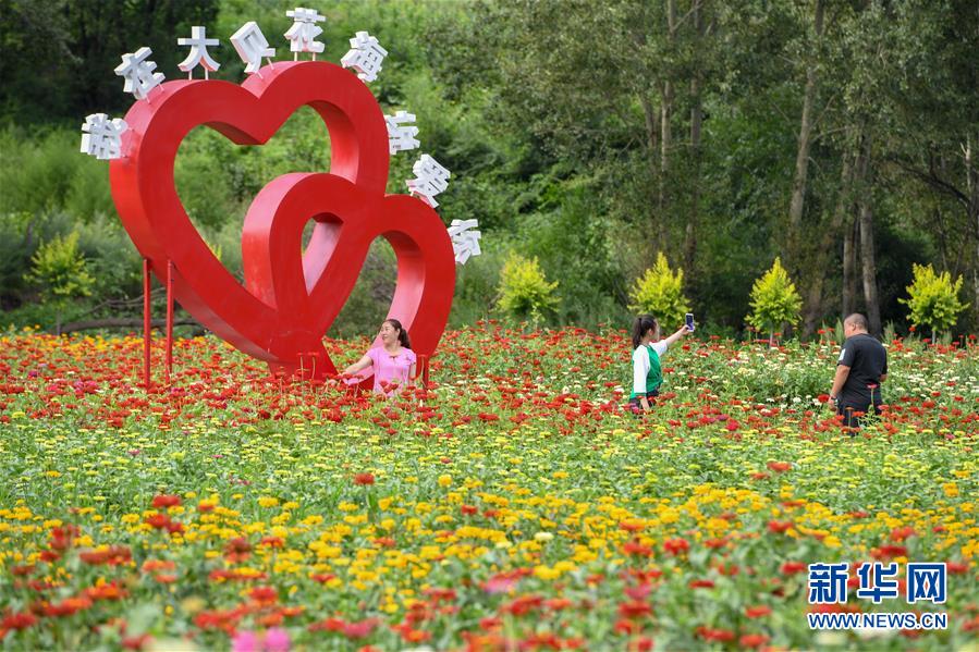 吉林长春：“畅游”花海