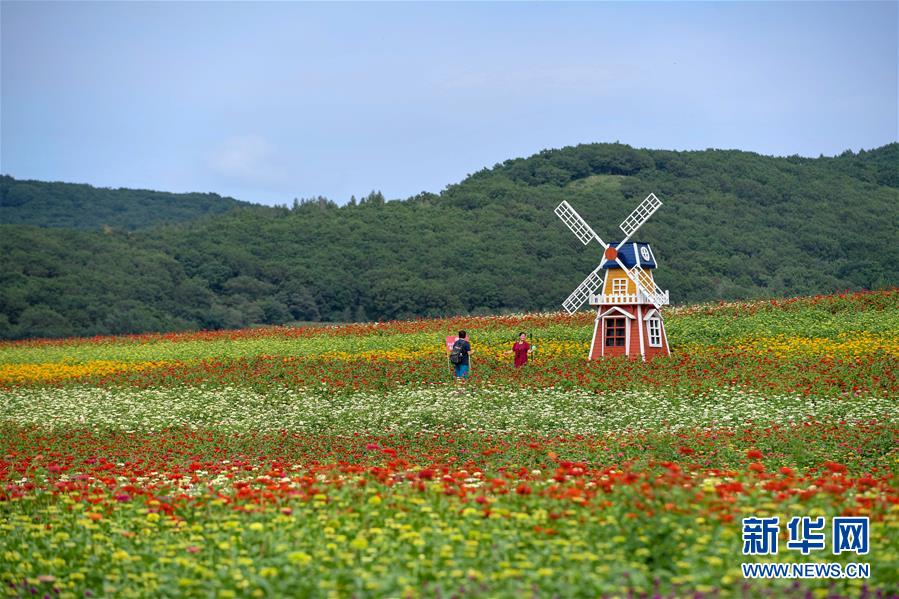 吉林长春：“畅游”花海