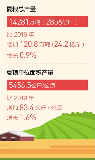 夏粮产量再创新高 为决胜全面小康、决战脱贫攻坚进一步夯实基础