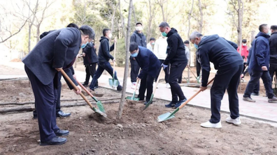 渤海大学组织义务植树活动_fororder_图片4