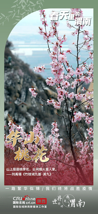 繁华似锦好时节  风花雪月看渭南_fororder_IMG_9251.JPG