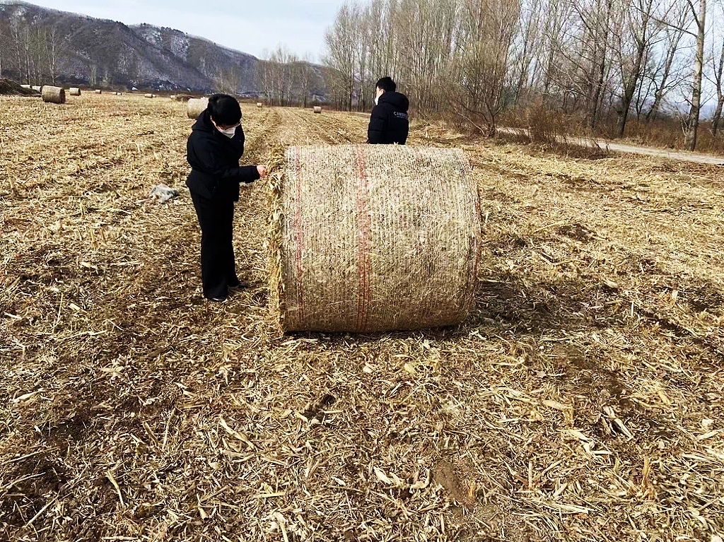 延吉市加强田间管理，护航春耕_fororder_微信图片_20220419093927