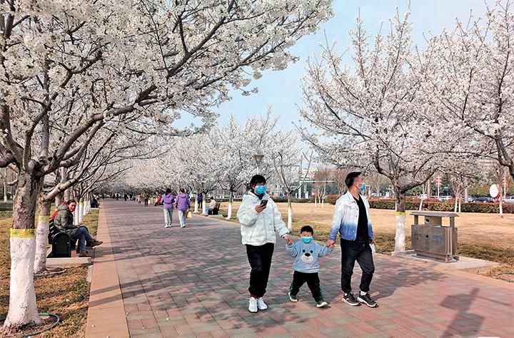 河南济源：以花为媒 城乡颜值变产值