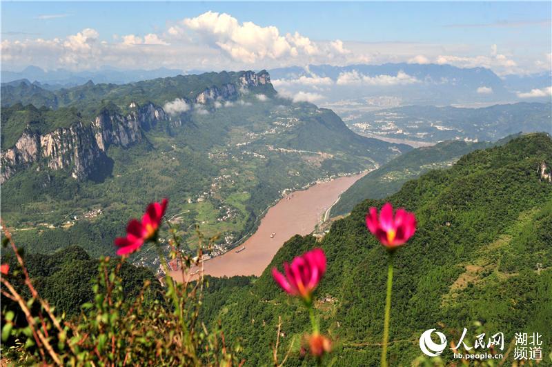 湖北宜昌：夏日西陵峡 风景美如画