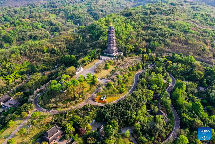 In pics: Garden Expo Park in Chongqing