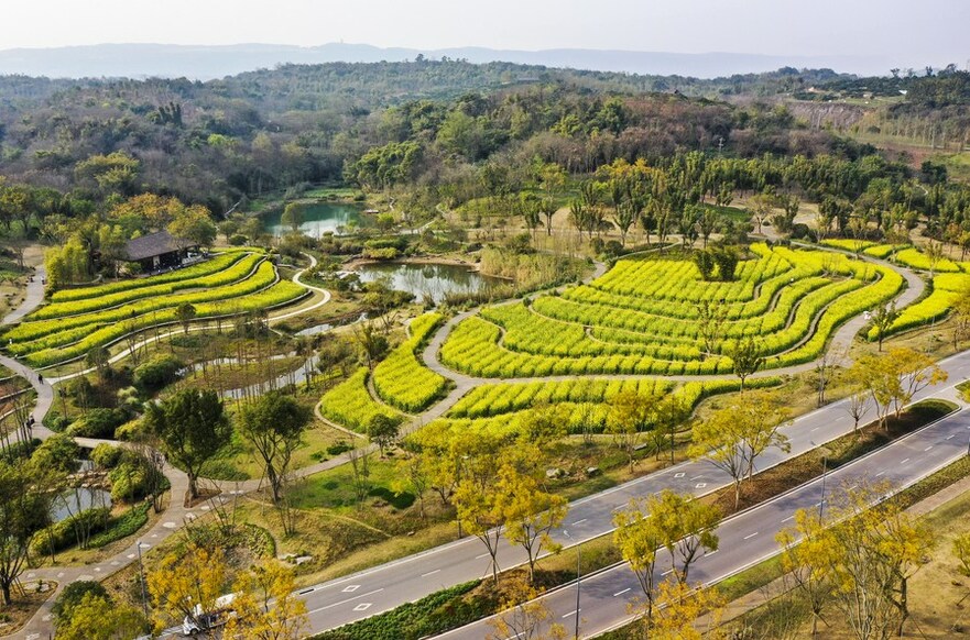 Guangyang Isle: A Demonstration of Green Development in SW China's Chongqing