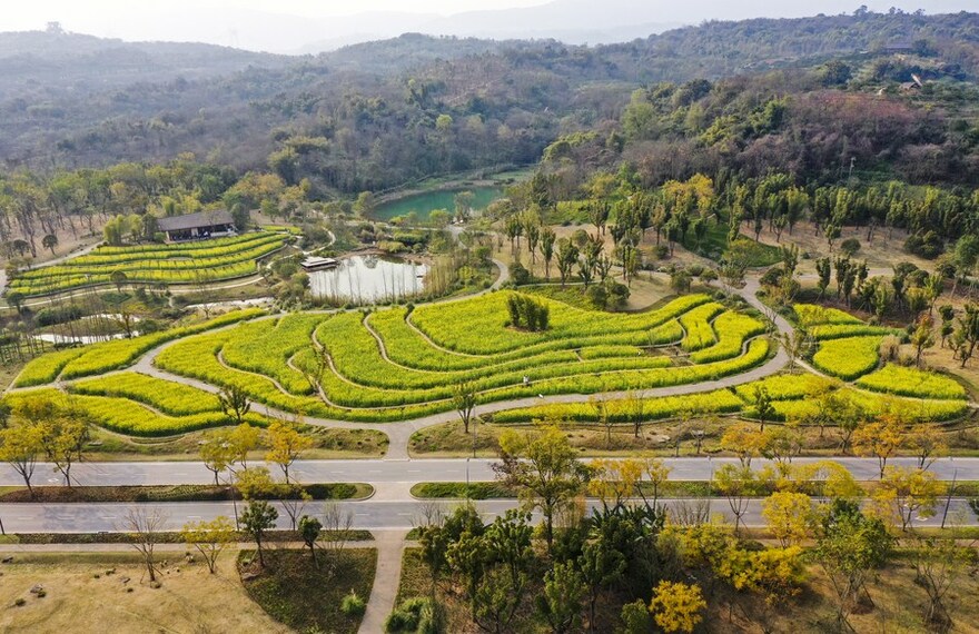 Guangyang Isle: A Demonstration of Green Development in SW China's Chongqing