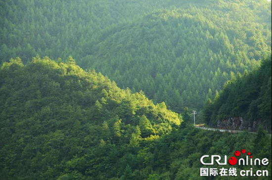 已过审【环保视点 要闻】巫山县加大石漠化治理力度 森林覆盖率达57%【区县联动】【巫山】巫山县加大石漠化治理力度 森林覆盖率达57%【区县联动】重庆巫山县森林覆盖率达57%