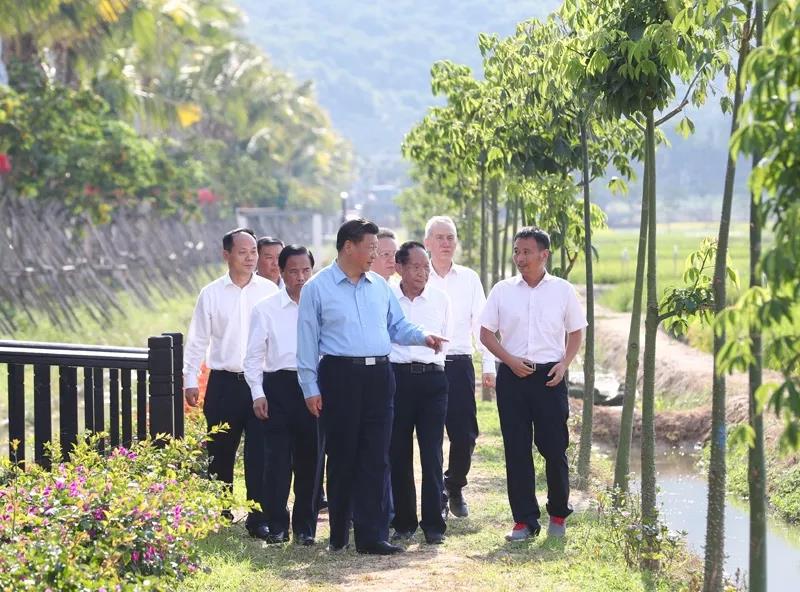 民以食为天，习近平心系中国饭碗