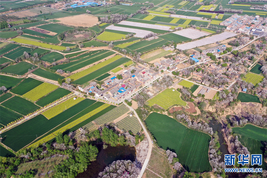 河南孟州：岭区岭区春景美如画