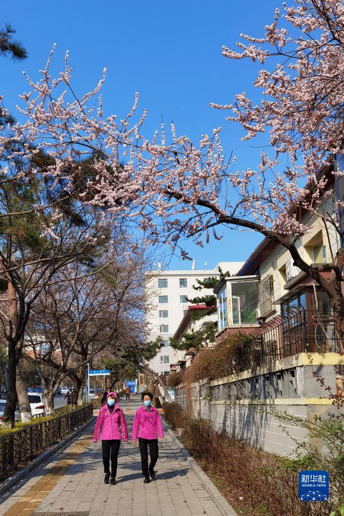 长春推动“无疫小区”居民恢复正常生活