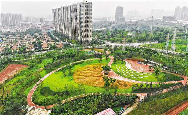 【城市远洋】重庆两江新区建成公园上百个