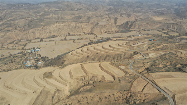 靖边中山涧镇：2000余亩坡耕地变梯田_fororder_4