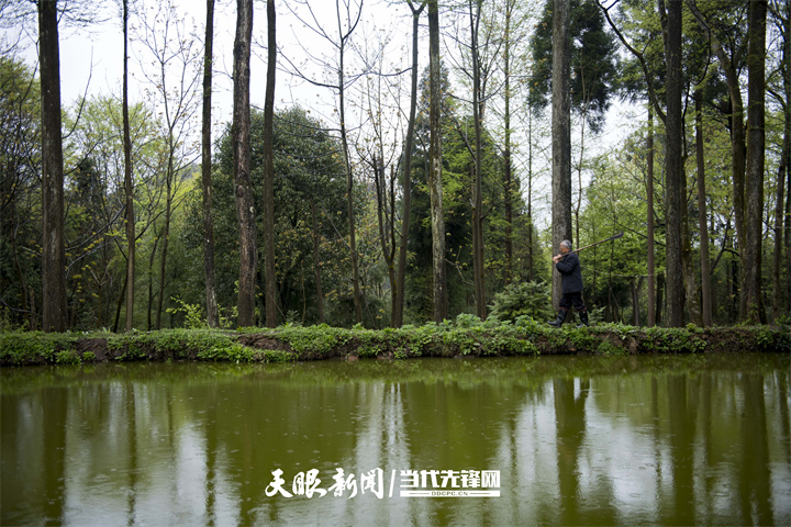 （中首）贵州毕节：绿色赋能高质量发展