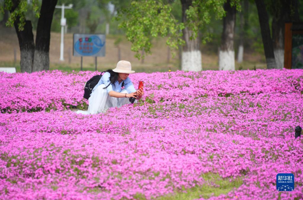 百花争艳引游人