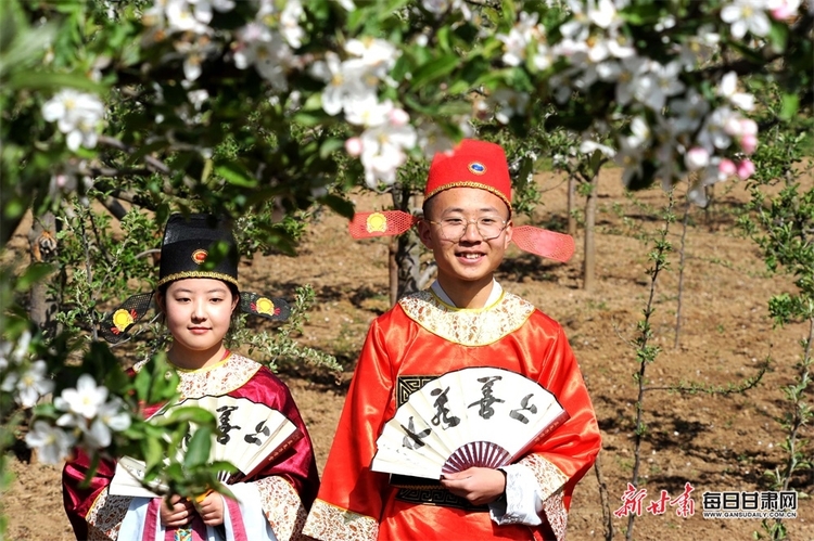 礼县：苹果花香送清甜 直播带货助增收