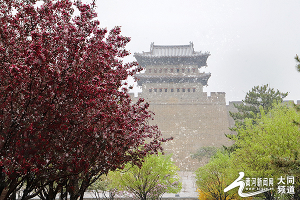 谁遣雪花开！大同四月飞雪来