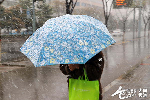 谁遣雪花开！大同四月飞雪来