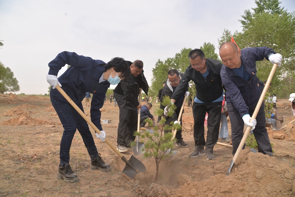 榆林市靖边县委宣传部党员干部义务植树添新绿_fororder_微信图片_20220427183122