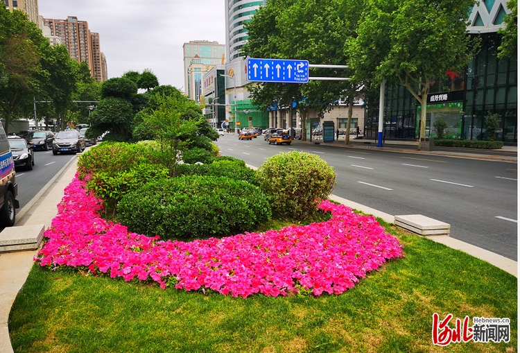 迎“五一” 花箱花球花柱扮靓河北石家庄